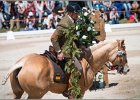 Pferd International 141